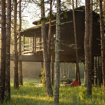 Sambliku Treehouse Βίλα Jogisoo Εξωτερικό φωτογραφία