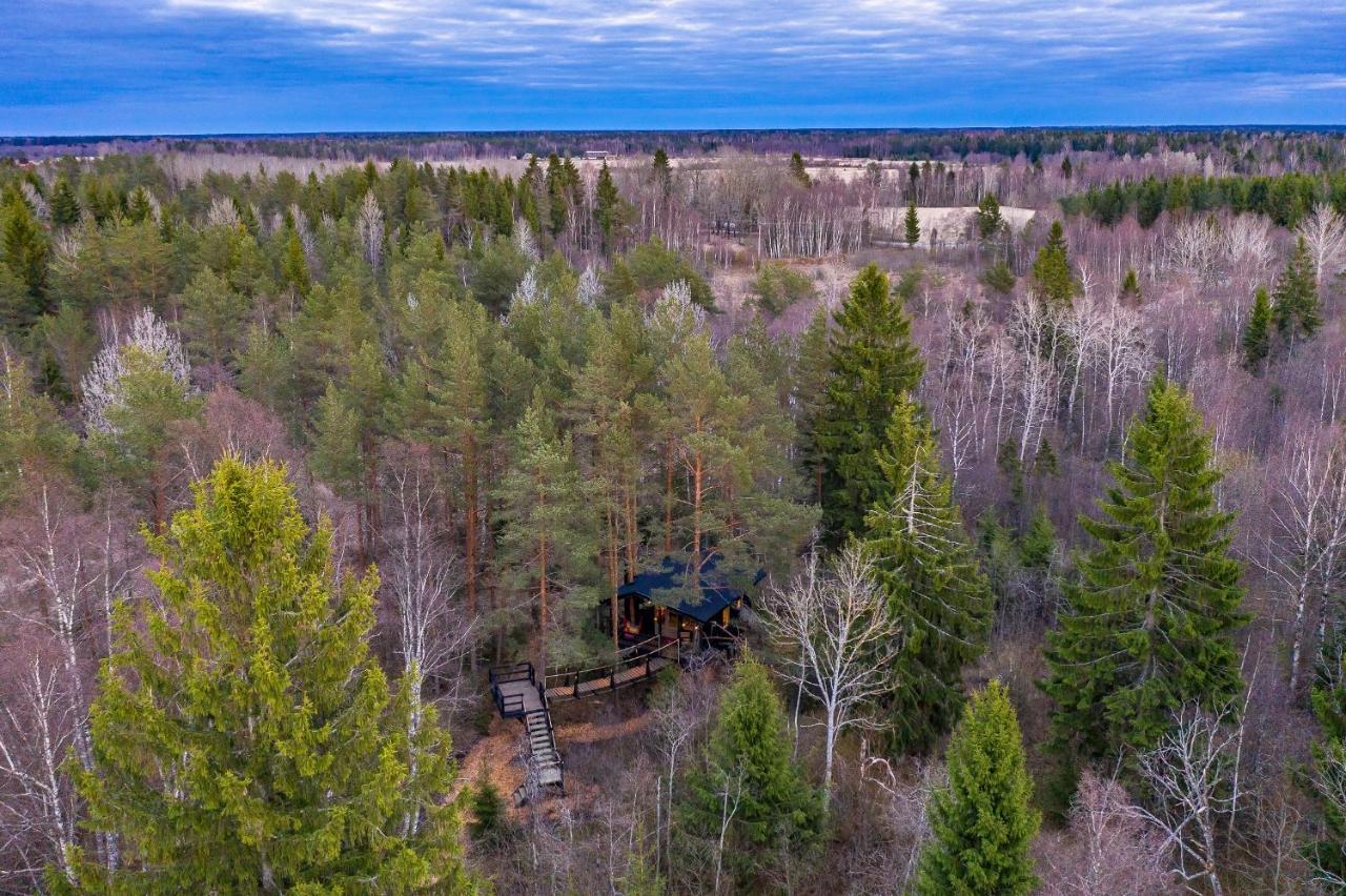 Sambliku Treehouse Βίλα Jogisoo Εξωτερικό φωτογραφία