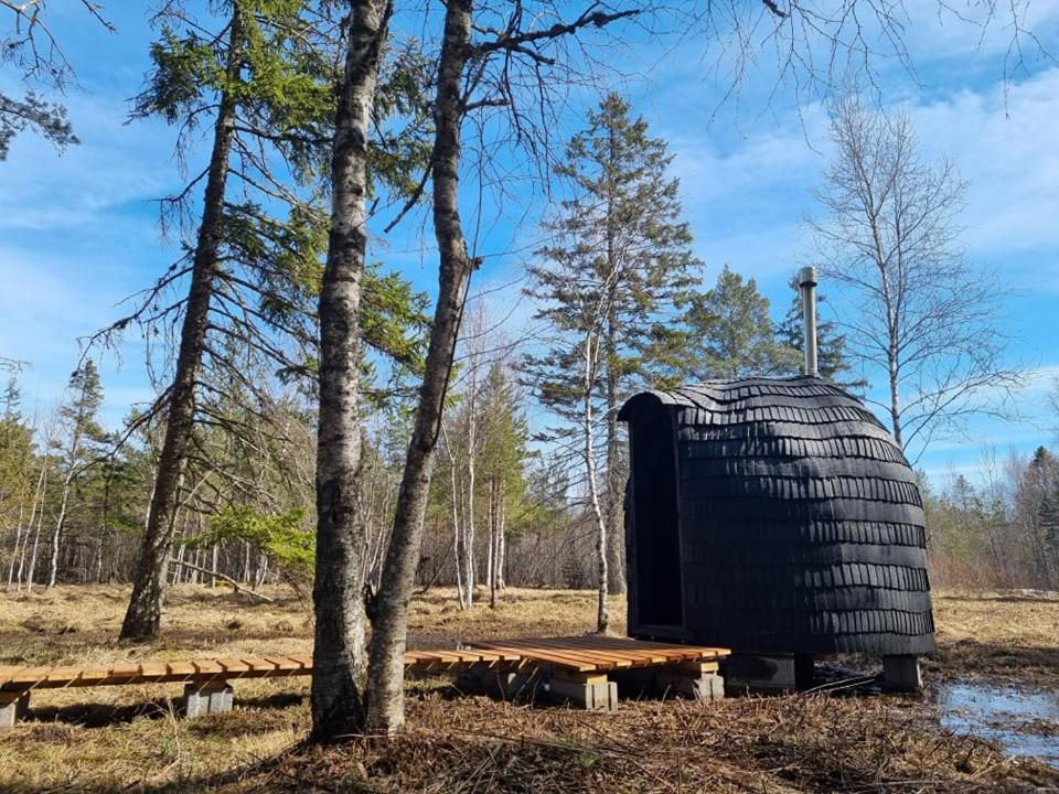 Sambliku Treehouse Βίλα Jogisoo Εξωτερικό φωτογραφία