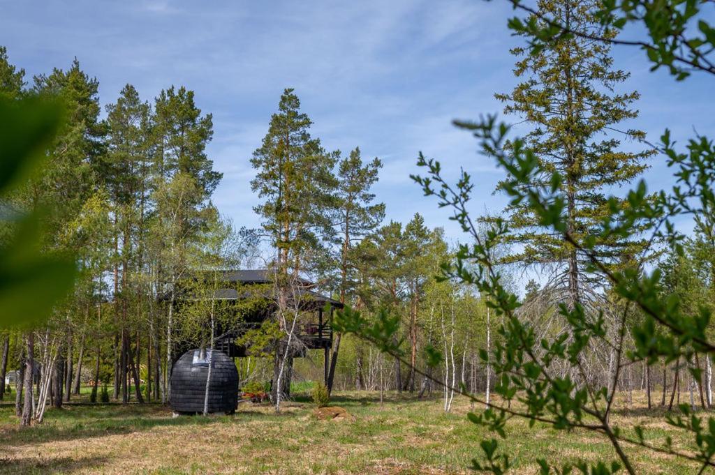 Sambliku Treehouse Βίλα Jogisoo Εξωτερικό φωτογραφία
