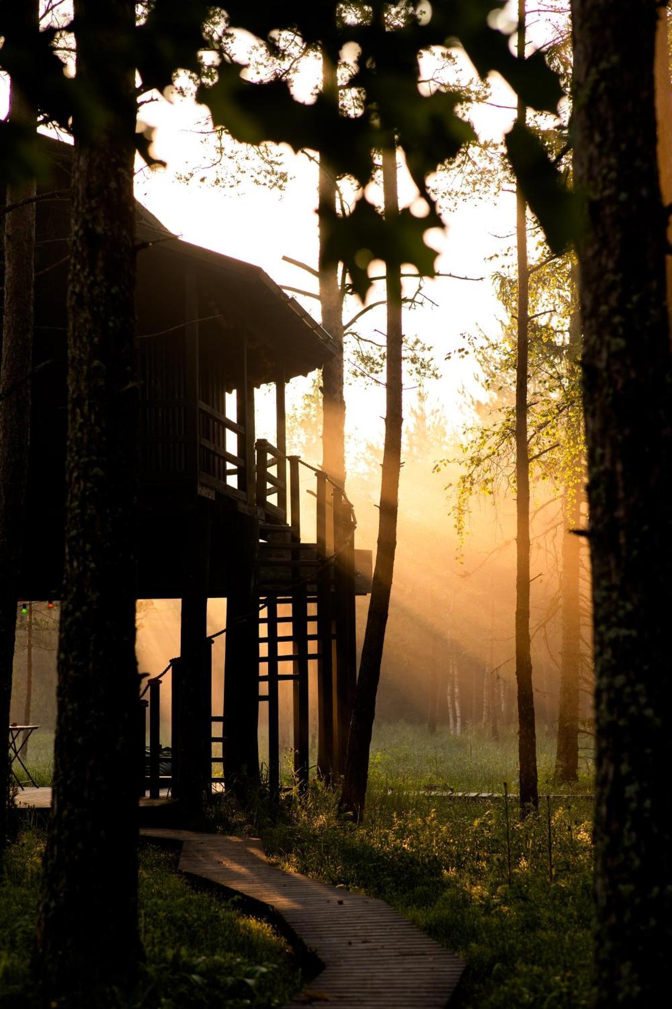 Sambliku Treehouse Βίλα Jogisoo Εξωτερικό φωτογραφία